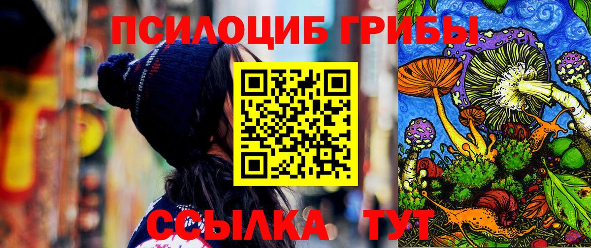 хочу   Псилоцибиновые грибы MAGIC MUSHROOMS  Вход с VPN  Качканар 